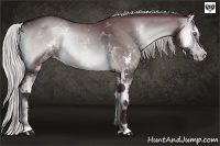 Horse Color:White Spotted Chocolate Silver Brown Chinchilla Onyx Sabino