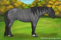 Horse Color:Blue Roan 