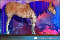 Horse Color:Painted Bay Splash Tobiano  and Painted White Spotted Silver Bay Splash 
