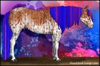 Horse Color:Painted Bay Splash Tobiano  and Painted White Spotted Silver Bay Splash 
