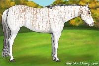 Horse Color:White Spotted Buckskin Splash and White Spotted Buckskin Dun Splash