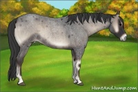 Horse Color:Blue Onyx Roan 