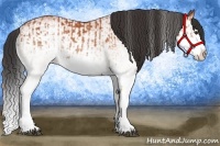 Horse Color:White Spotted Bay Splash  and White Spotted Bay Splash 
