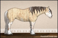 Horse Color:Silver Bay Dun Sabino Splash and Amber Champagne Dun Sabino Splash