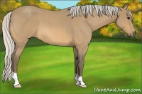 Horse Color:Silver Buckskin Roan 