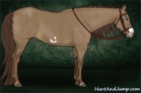 Horse Color:Liver Red Dun Frame Brindle 