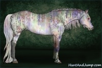 Horse Color:Nacre White Spotted Silver Brown Chinchilla Frame  and Nacre Silver Bay Chinchilla 