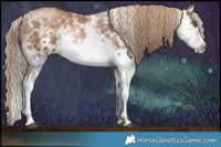 Horse Color:White Spotted Liver Chestnut Pearl Sabino 