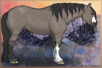 Horse Color:Grullo 