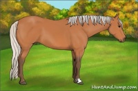 Horse Color:Silver Bay