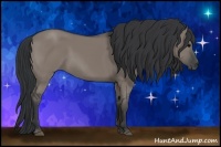 Horse Color:Grullo 