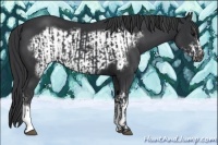 Horse Color:Black  and Black Frame 