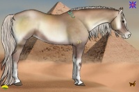 Horse Color:White Spotted Silver Brown Pearl Onyx Sabino 