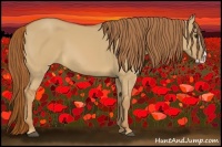 Horse Color:Red Dun Splash