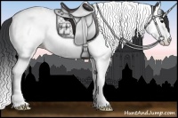 Horse Color:Grullo Splash Tobiano 