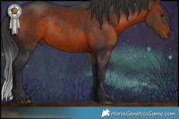 Horse Color:Brown Rabicano 