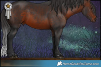 Horse Color:Brown Rabicano 