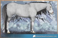 Horse Color:Smoky Grullo Chinchilla Roan Splash 