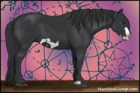 Horse Color:Black Frame 