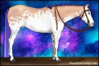 Horse Color:Painted Watercolor Chestnut Pearl Splash 
