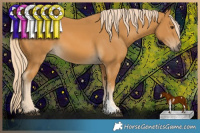 Horse Color:Palomino Sabino Rabicano 