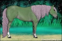 Horse Color:Watercolor Liver Chestnut 