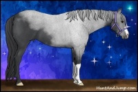 Horse Color:Blue Roan 
