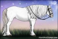 Horse Color:White Spotted Chocolate Palomino Dun Appaloosa Rabicano