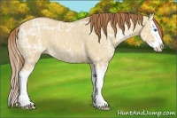 Horse Color:Red Dun Ice Roan Splash 