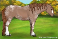 Horse Color:Chestnut Ice 