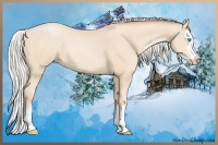 Horse Color:Chocolate Silver Buckskin Pearl Sabino Splash 