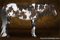 Horse Color:White Spotted Buckskin Ice 