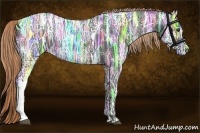 Horse Color:Liver Chestnut Ice