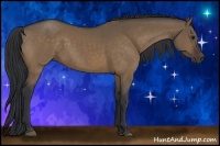 Horse Color:Bay Dun