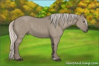 Horse Color:Silver Grullo