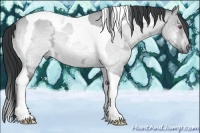 Horse Color:Bay Chinchilla Ice Dun Tobiano 