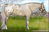 Horse Color:Silver Brown Dun Sabino Tobiano Appaloosa Rabicano Brindle
