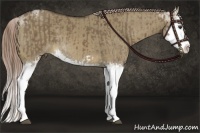 Horse Color:Liver Red Dun Splash Brindle and Chocolate Palomino Dun Splash Brindle