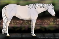Horse Color:Watercolor Cremello Sabino 