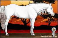 Horse Color:Brown Splash Near Leopard