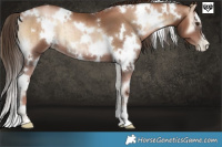Horse Color:White Spotted Liver Red Onyx Pearl Brindle 