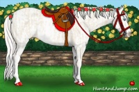 Horse Color:Cremello Sabino  and Cremello Sabino Splash 