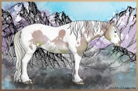 Horse Color:Watercolor White Spotted Silver Blue Onyx Splash Tobiano 