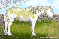 Horse Color:Watercolor White Spotted Silver Bay Splash 