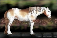 Horse Color:White Spotted Red Onyx 