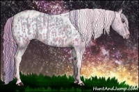 Horse Color:Watercolor Liver Red Dun Tobiano Brindle  and Watercolor Gold Champagne Appaloosa 