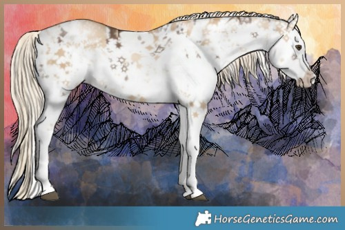 Horse Color:White Spotted Liver Red Dun Mushroom Sabino Brindle  and White Spotted Chocolate Palomino Pearl Dun Mushroom Sabino Brindle 