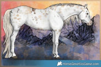 Horse Color:White Spotted Liver Red Dun Mushroom Sabino Brindle  and White Spotted Chocolate Palomino Pearl Dun Mushroom Sabino Brindle 