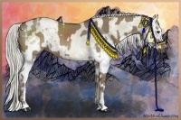 Horse Color:White Spotted Liver Red Dun Sabino Brindle  and White Spotted Chocolate Palomino Pearl Dun Sabino Brindle 