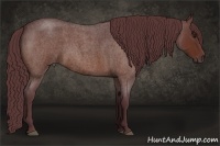 Horse Color:Chocolate Bay Roan 